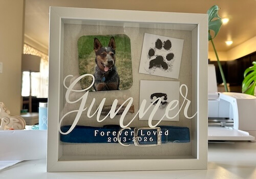 Shadow box