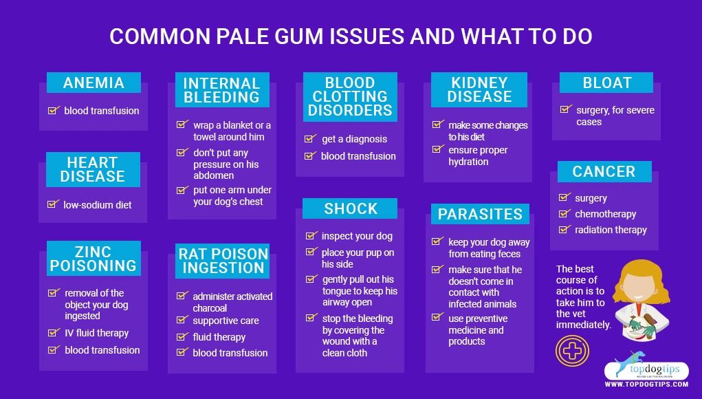 pale gums