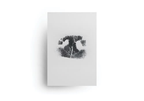 Nose print