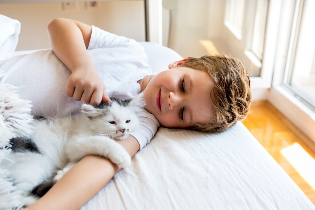 little boy and his kitty