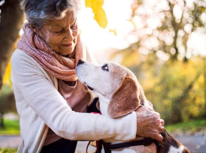Elderly Pet Wellness Signs